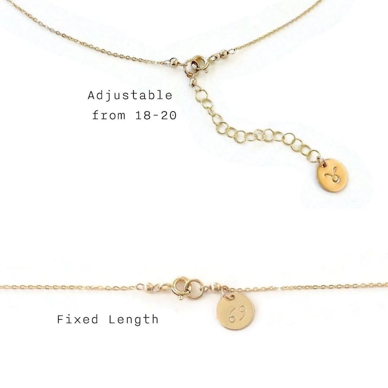 May include: Gold chain necklace with a small round charm. The chain is adjustable from 18 to 20 inches. The charm has a zodiac symbol on it. The necklace is also available in a fixed length.