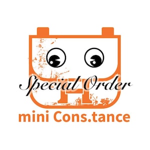 Special Order - mini Cons.tance Innerbag