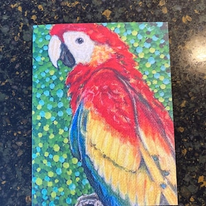 Dotty Parrot Note Greeting Card