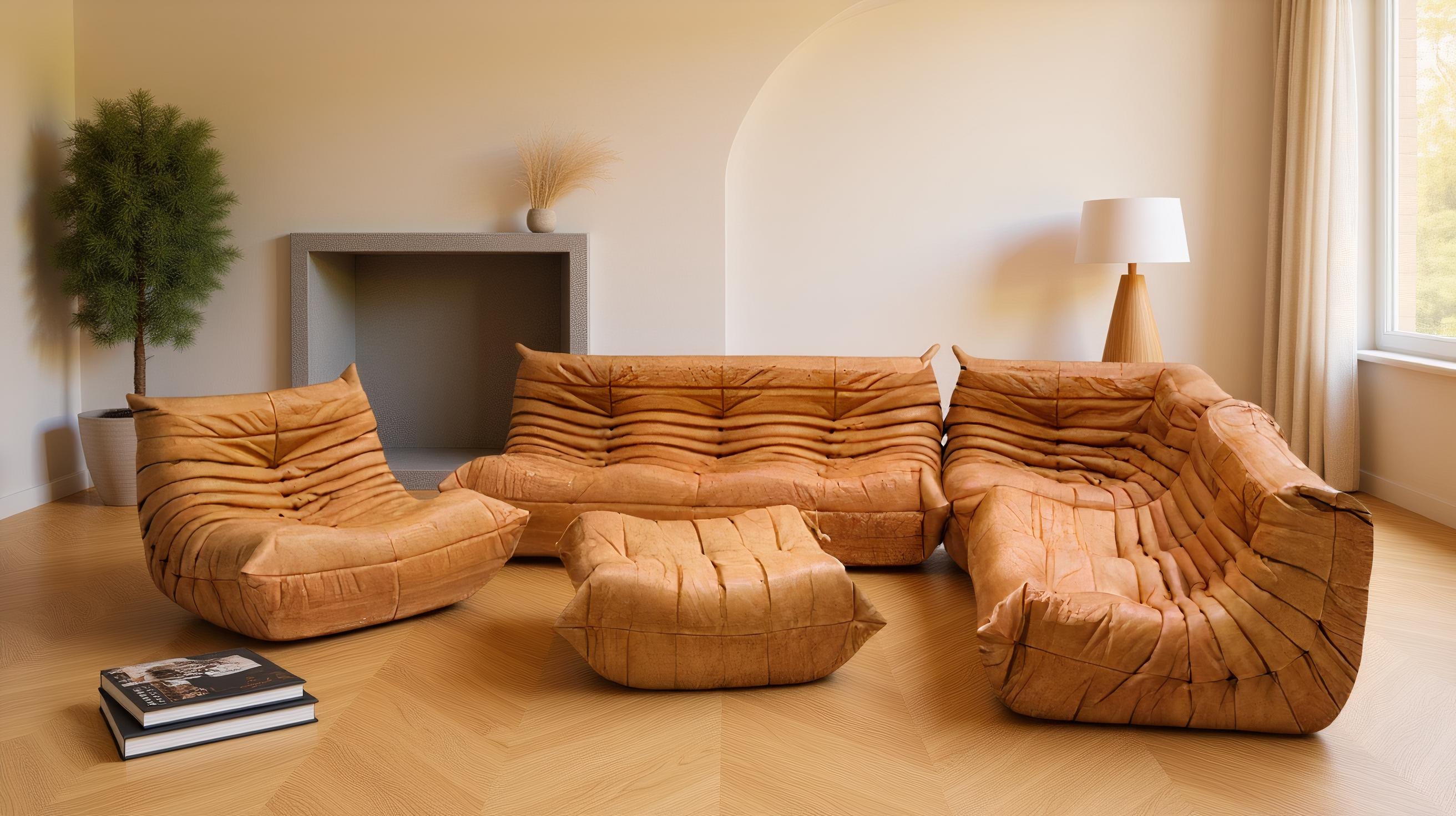 ligne roset TOGO　リーンロゼ トーゴ 　「希少ヴィンテージ」 ligne roset（リーンロゼ) TOGO(トーゴ）1シーターソファ-高価