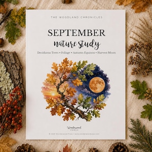 May include: A white educational booklet titled The Woodland Chronicles September nature study. The cover features a watercolor illustration of an oak tree branch transitioning from a sunset to a night sky with a full moon and autumn leaves.