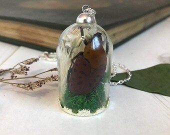 Beetle Specimen Necklace Brown Grapevine Beetle with Moss and Grass Pendant OOAK Ethically Sourced