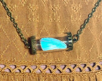 Butterfly Wing Specimen Necklace Victoriana Memento Mori Pendant
