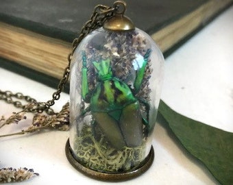 Beetle Specimen Jar Necklace Victorian Terrarium Jewellery Real Neptunides Beetle Ethically Sourced Bell Jar Jewelry