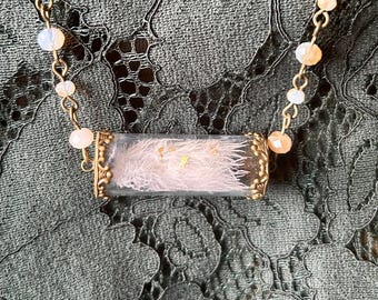 Feather Relic Necklace Bird Wings Specimen Memento Mori Cottage Core Nature Collector Pendant