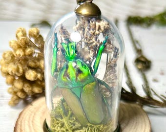 Victorian Beetle Specimen Bell Jar Necklace: Ethically Sourced Neptunides Beetle Terrarium Jewellery