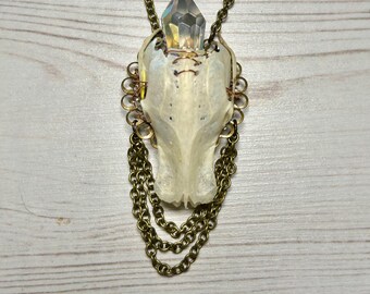 Bird Skeleton and Crystal Pendant Witchy Gothic Memento Mori