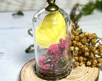 Butterfly Specimen in Bell Jar Necklace