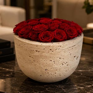 Può includere: Un vaso a forma di ciotola realizzato in pietra travertino beige porosa, riempito con una densa composizione di rose rosso scuro. Il contenitore in pietra presenta una base arrotondata e una superficie ruvida e bucherellata che contrasta con i petali.