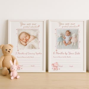 Biglietti minimal per bambine, elefante rosa, da 1 a 12 mesi, biglietti fotografici mensili stampabili, segnatempo per la nascita, regalo digitale per baby shower