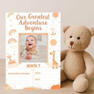 Cartes d'étape mensuelles pour bébé de 1 à 12 mois - Motif floral arc-en-ciel girafe, cadre photo bébé, cartes mémoire bébé orange blanc, téléchargement numérique