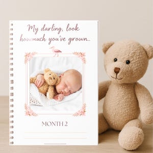 Cartes d'étape roses mensuelles pour bébé - du nouveau-né à 12 mois - accessoire photo fille avec cigogne - cartes de suivi des souvenirs de bébé - imprimables ou physiques