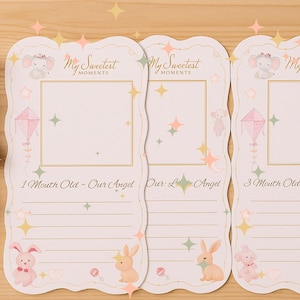 12 Months of Baby Girl Pink Bunny with Flowers, Baby Girl Milestone Cards – Pink Bunny Theme | 12 Month Photo Prop Cards, Newborn gifts
