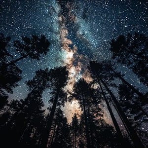 May include: A low-angle shot of a night sky filled with stars, with the Milky Way visible. Silhouetted pine trees frame the bottom of the image, creating a contrast between the dark trees and the bright, speckled sky. The colors range from deep blues to warm oranges.
