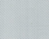 Moda Fabric - Rosemary Cottage by Camille Roskelley - 55317 24 - 1/2 yard- off white with small print navy checks - Cotton Quilt Fabric 44"