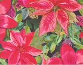 Moda Fabric - Love and Cheer by Amarilys Henderson 21830 12 - 1/2 yard  - Cotton Fabric - midnight background with flowers and pomegranates