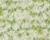 Moda Fabric - Sweet Cecily -  by Janet Clare - 1/2 yard - 24642 12 - light green with white flowers and green leaves - cotton fabric