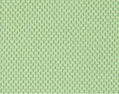 Moda Fabric - Raspberry Summer -  by Sherri and Chelsi - 37696 25 - 1/2 yard - lt. green with green lines and white dots - Cotton Fabric