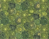 Moda Fabric - Farm and Garden - by Cathe Holden for Moda - 1/2 yard - 7478 11 -  Green  cabbage - various shades of green - Cotton - Moda