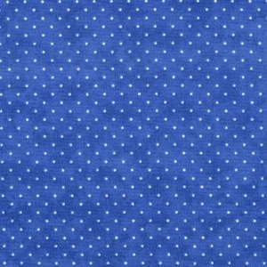 May include: Blue fabric with a white polka dot pattern.
