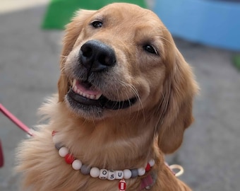 May include: A smiling golden retriever wearing a beaded collar with the letters "OSU" and a football charm. The dog has a red leash and harness. The background is blurred, with hints of green and blue.