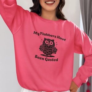 My Flabbers Have Been Gasted Shirt,Funny Humor Shirt, Flabbergasted Shirt,Owl Halloween Shirt, Snarky Shirt, Funny Humor Tee