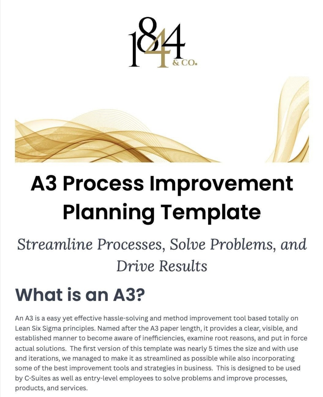 A3 Process Improvement Planner | Printable Lean Six Sigma Template for ...