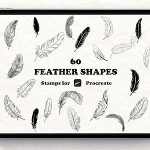 60 Hand-Drawn Feather Procreate Stamps, Boho Brush Set (Digital Download)