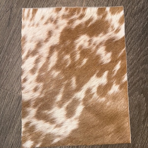 B3 Wunderschöne natürliche tan und weiße Haare auf Fell wie es ist 8x6 ”!