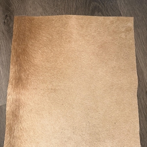 A9 Wunderschöne natürlich gebräuntes Haar auf Fell wie es ist 12x12 ”!
