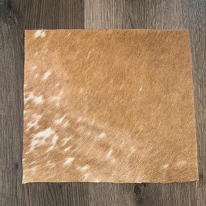 A1 Wunderschöne natürliche tan und weiße Haare auf Fell wie es ist 12x10 ”!