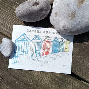 Carte Cayeux sur mer à planter, marque-page, étiquette, ensemencé, fleurs