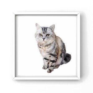 Ritratto di animale domestico personalizzato ad acquerello, ritratto di gatto da foto, dipinto a mano personalizzato, dipinto di animali domestici, regalo di compleanno, regalo per lei