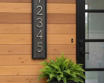 Puede incluir: Un letrero rectangular con el número de la dirección 12345 en plata sobre un fondo gris oscuro. El letrero está montado en una pared de madera. Debajo del letrero hay una jardinera negra con helechos verdes.