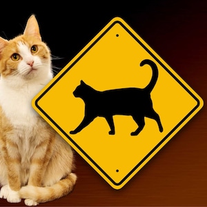 May include: A yellow diamond-shaped warning sign with a black silhouette of a cat walking. A ginger and white cat sits in front of the sign, looking to the right.