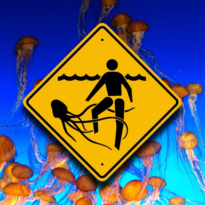 Jellyfish Danger Sign Beach Safety Warning Plaque Swimming Surfer Protection Marker Aquarium Water Fun &amp;amp; Unique Outdoor Pool Decor image 1