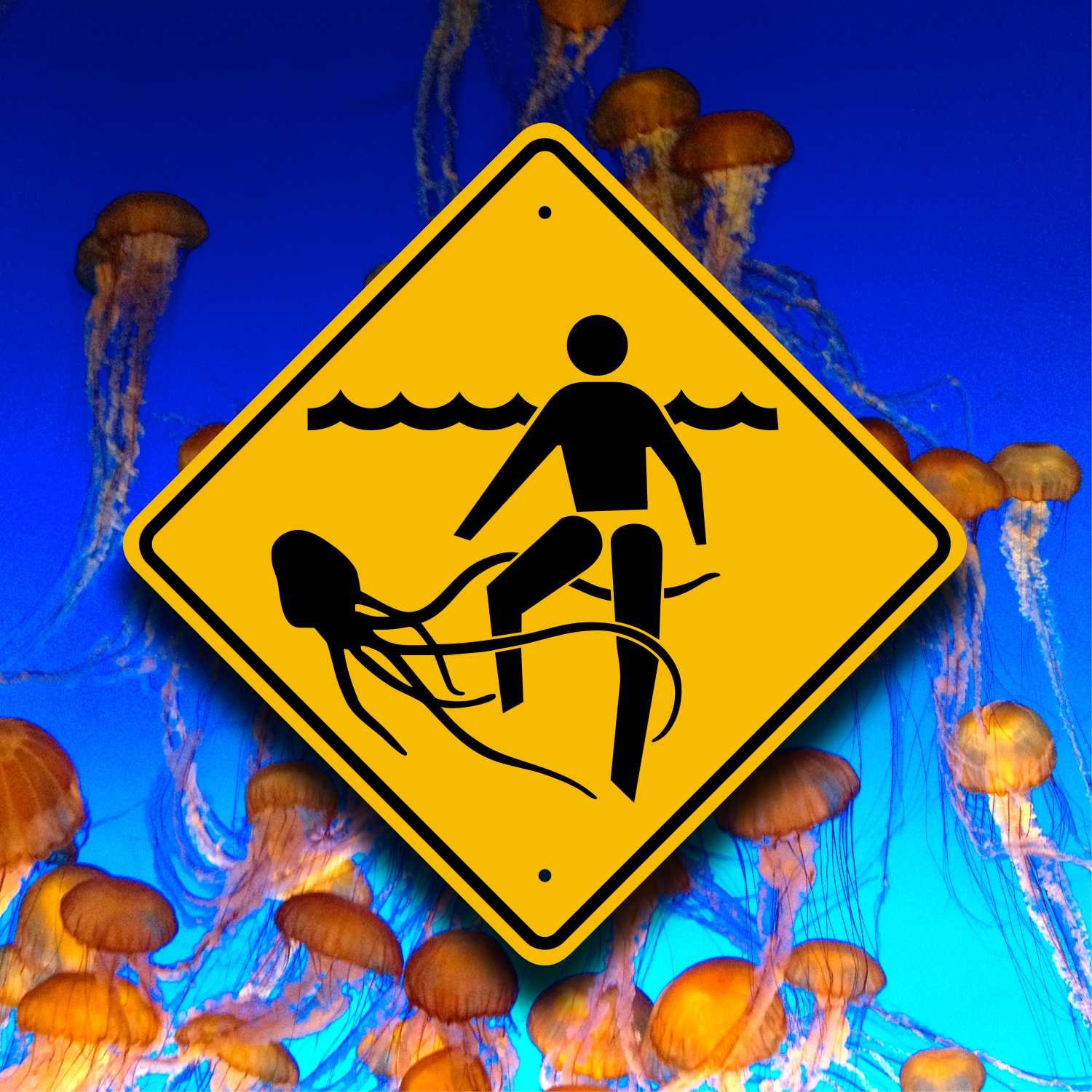 Jellyfish Warning Sign – Reflective Placard - Beach Safety
