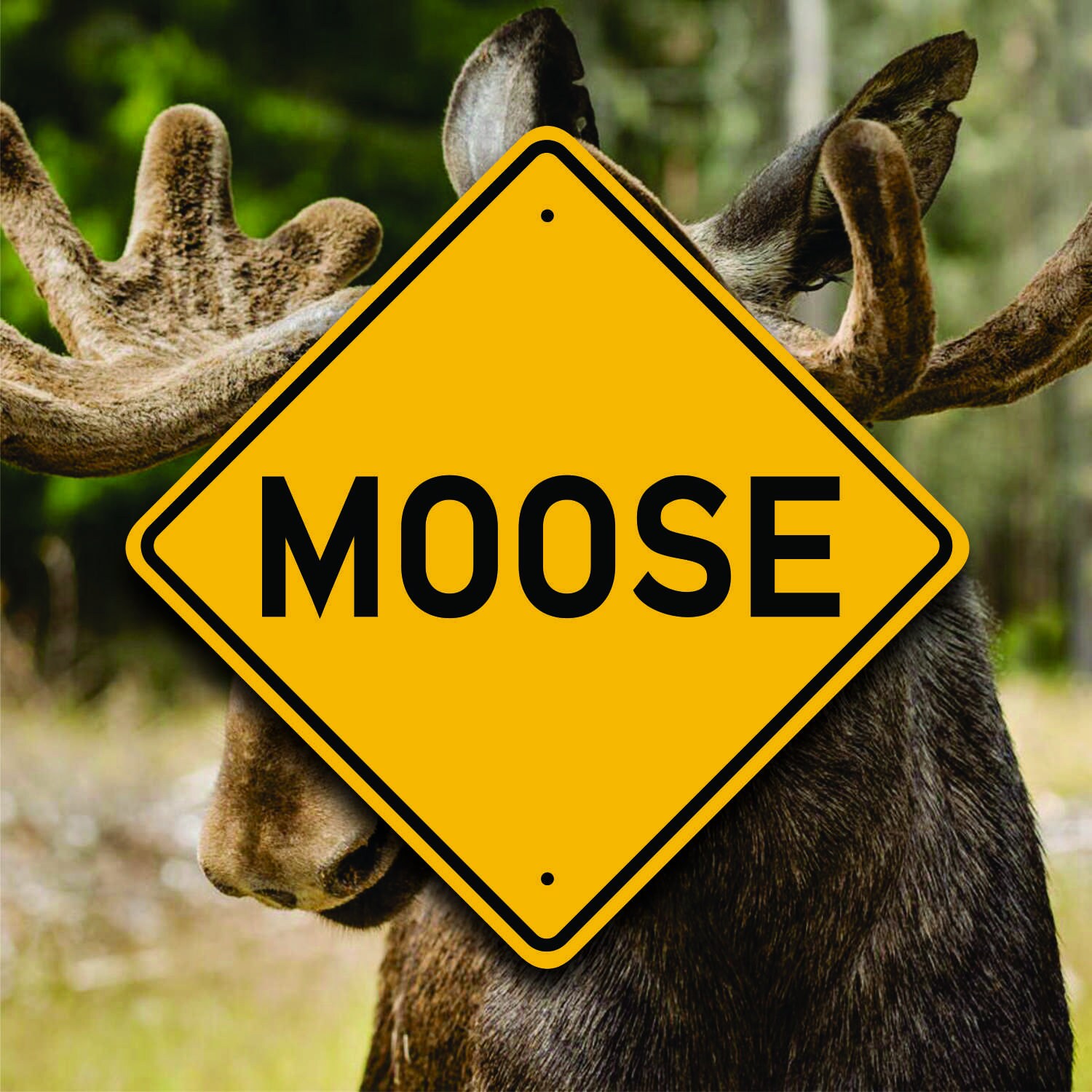 Vermont Moose Sign - Highway Warning Sign Replica - Fun Country