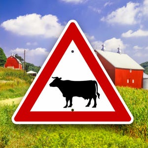 May include: A red and white triangular warning sign with a black silhouette of a cow inside. The sign is in front of a red barn and green grass.