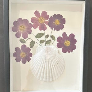 Può includere: Una composizione floreale incorniciata con fiori viola pressati con centri gialli, disposti in una conchiglia bianca. L'opera d'arte è ambientata su uno sfondo color crema e racchiusa in una cornice nera, creando un'estetica naturale ed elegante.