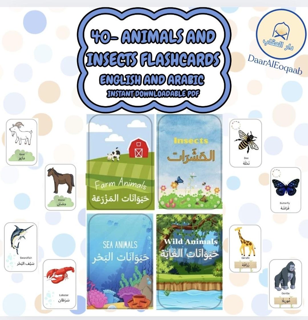 40 Animals and Insects- Flashcards- English and Arabic- DOWNLOADABLE ...