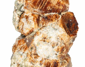 May include: A raw mineral specimen featuring multiple interconnected, translucent, reddish-brown garnet crystals. The cluster displays a rough, multifaceted texture with visible striations and inclusions, set against a pale, earthy matrix.