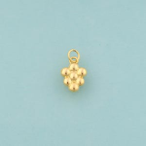 Gold Grape Charms,Fruit Jewelry,Grape Pendant for DIY Jewelry Making,18K Gold