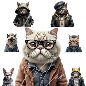 Élégant chats PNG, clipart chat déguisé, design tendance chat, hipster chats PNG Clipart, téléchargement numérique, 7 PNG Bundle