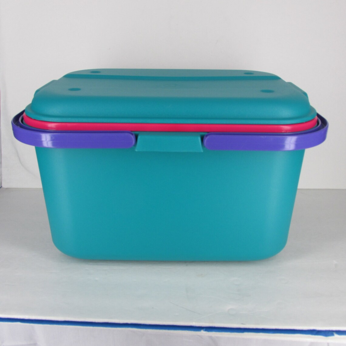 Eagle Craftstor with 2 Containers Tub With Handles Storage Etsy