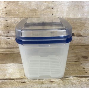 May include: A clear, rectangular food storage container with a blue rim and a clear lid. The container has a white interior with a grid pattern on the bottom. The lid has a silver frame.