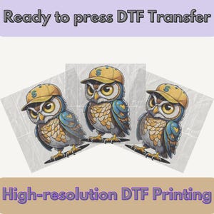 Sowa DTF, Sowa Tumbler, Sowa w kapeluszu, Słodka sowa, Koszulka z sową DTF Design, Słodki Zwierzę DTF, Wysoka Rozdzielczość, Transfer DTF, Najlepszy do Drukowania