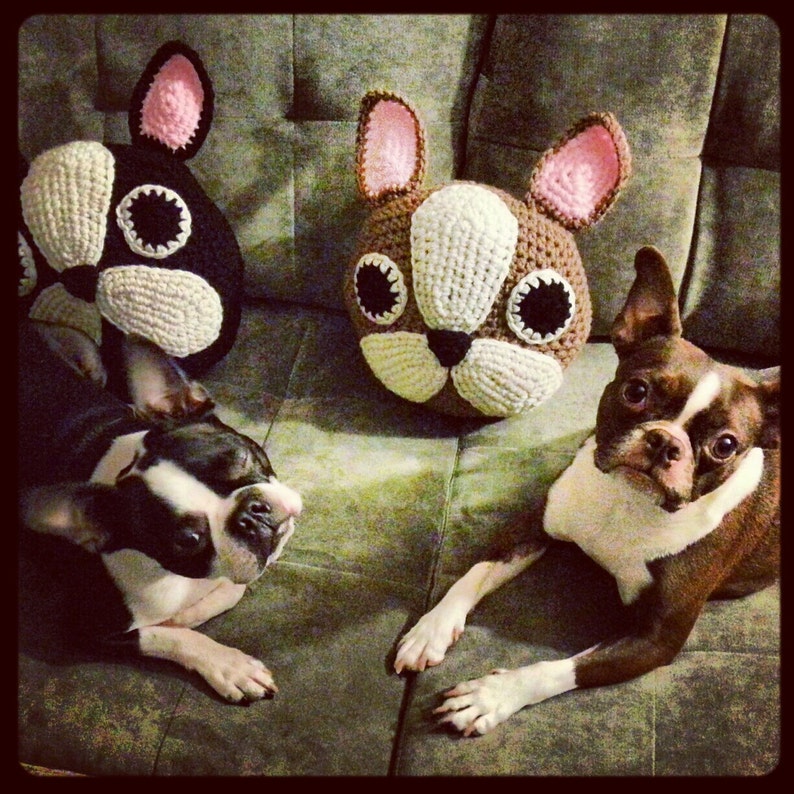 Crochet Buldog pillow ,handmade Bulldog pillow,French Bulldog Pillow /Boston Terrier Pillow image 4