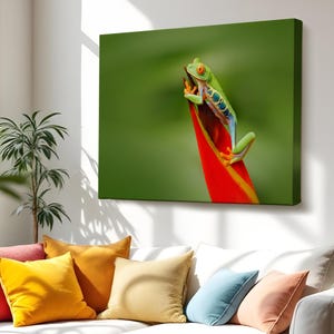 Colorful Frog Decorative Canvas Painting, Animal Canvas Wall Decor, Animal Canvas Wall Art, Large Wall Art, Framed Canvas Wall Art
