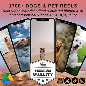 Pacote com mais de 1700 clipes de vídeo para cães – acesso instantâneo ao Google Drive para criadores de animais de estimação, Instagram, TikTok, Youtube Shorts MMR PLR